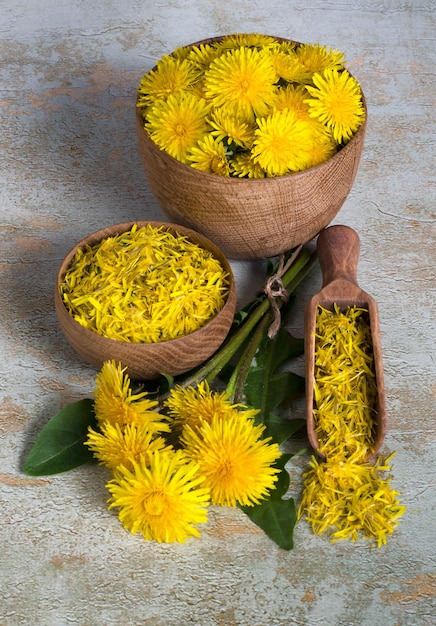 Fleurs de pissenlit utiles dans des tasses en bois