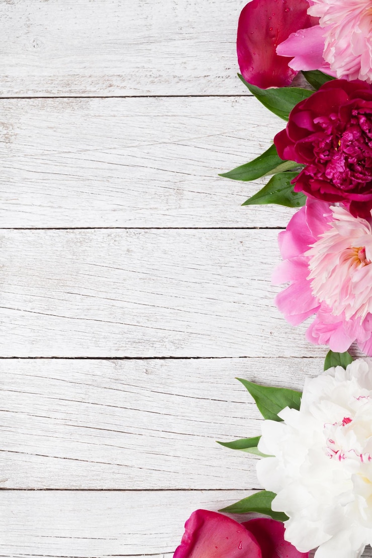 Photo fleurs de pivoine de jardin sur bois