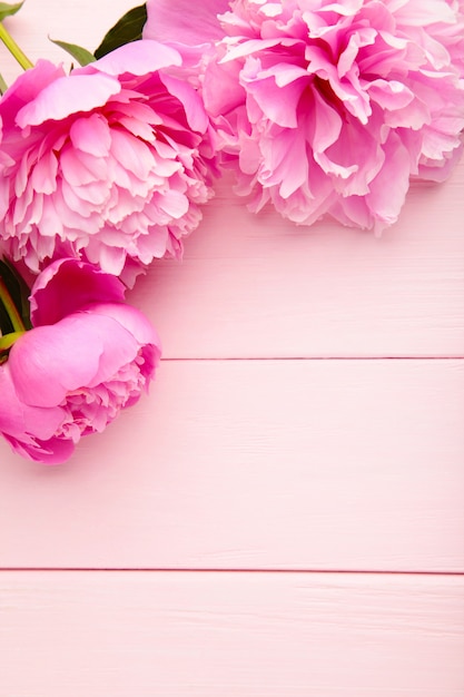 Fleurs de pivoine pourpre sur fond de bois rose.