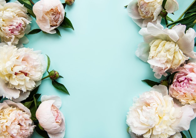 Fleurs de pivoine rose en bordure sur un bleu pastel