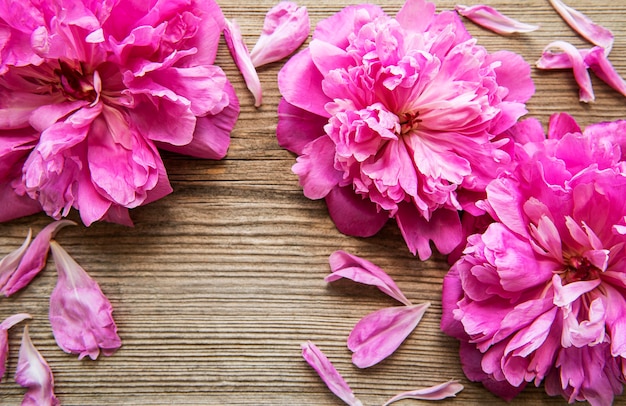 Fleurs de pivoine rose comme bordure sur un vieux fond en bois
