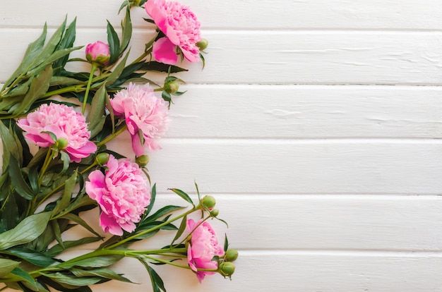 Fleurs de pivoine rose sur table en bois blanc