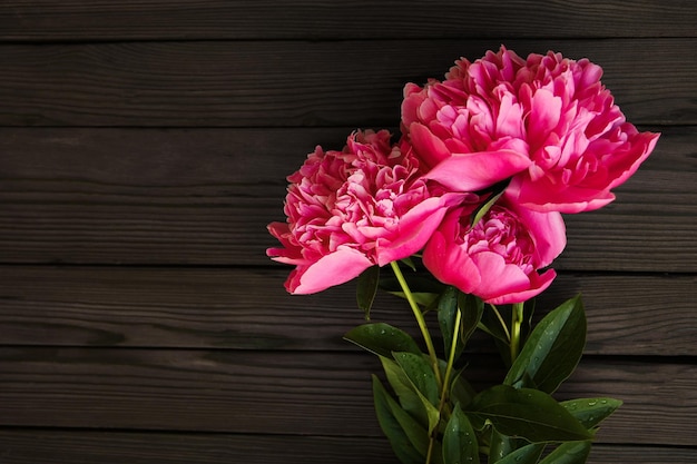 Fleurs de pivoines sur fond de bois