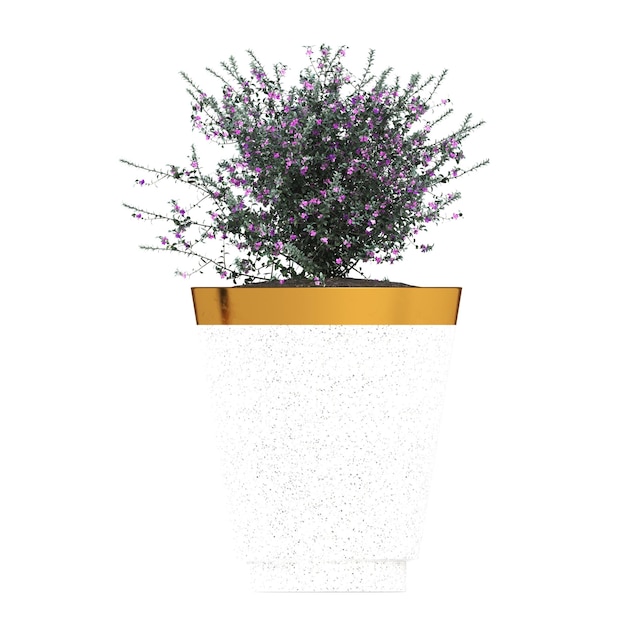 fleurs et plantes décoratives pour l'intérieur isolé sur fond blanc illustration 3D cg re