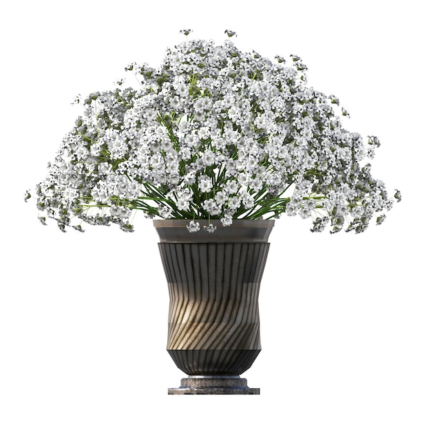 fleurs et plantes décoratives pour l'intérieur, isolées sur fond blanc, illustration 3D, cg r