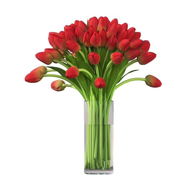 fleurs et plantes décoratives pour l'intérieur, isolées sur fond blanc, illustration 3D, cg r