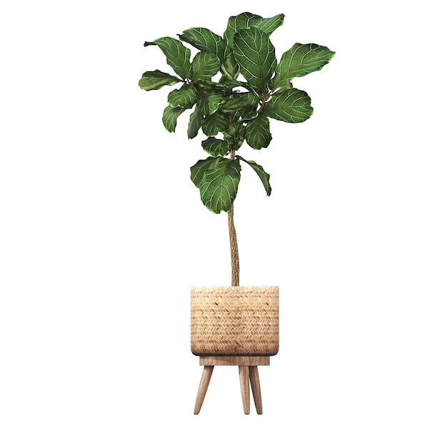 fleurs et plantes décoratives pour l'intérieur, isolées sur fond blanc, illustration 3D, cg r