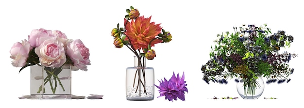 fleurs et plantes décoratives pour l'intérieur, isolées sur fond blanc, illustration 3D, cg re