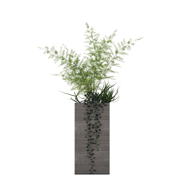 fleurs et plantes décoratives pour l'intérieur, isolées sur fond blanc, illustration 3D, cg re