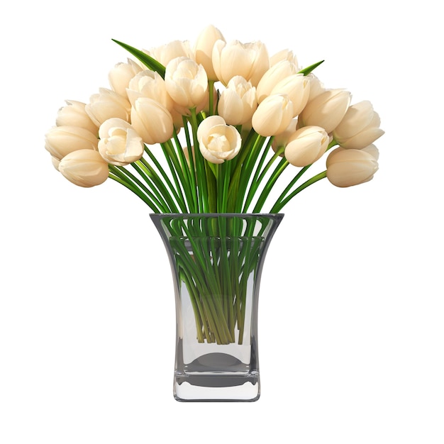 fleurs et plantes décoratives pour l'intérieur, isolées sur fond blanc, illustration 3D, cg