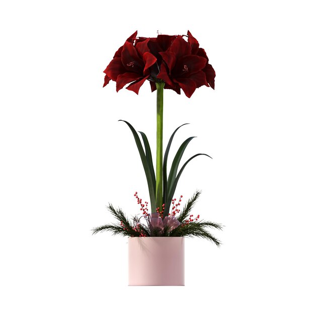 fleurs et plantes décoratives pour l'intérieur, isolées sur fond blanc, illustration 3D, cg