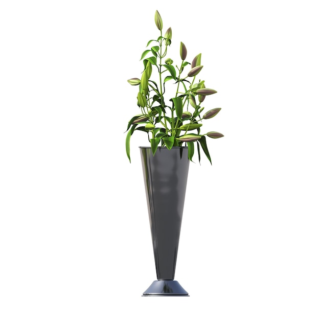 fleurs et plantes décoratives pour l'intérieur, isolées sur fond blanc, illustration 3D, cg