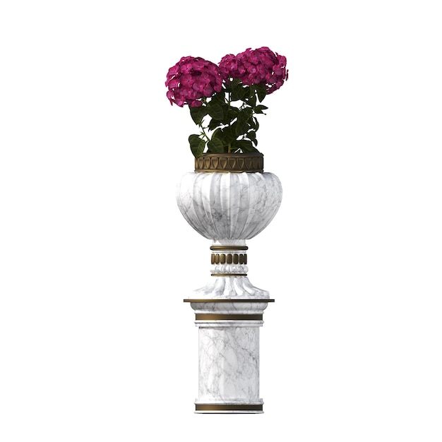 fleurs et plantes décoratives pour l'intérieur, isolées sur fond blanc, illustration 3D, cg