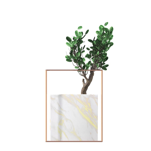 Photo fleurs et plantes décoratives pour l'intérieur, isolées sur fond blanc, illustration 3d, cg