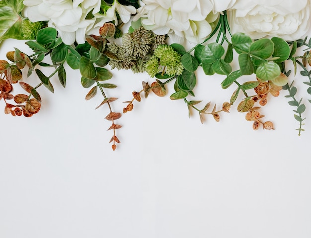 fleurs et plantes sur fond blanc