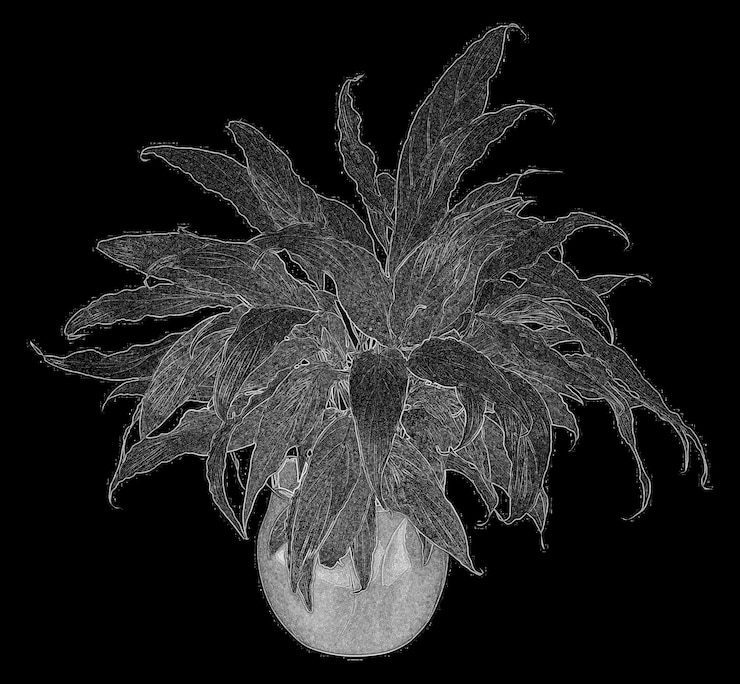 Photo fleurs et plantes en pot isolées sur fond blanc