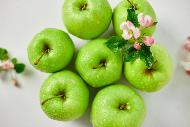 Fleurs de pomme à plat et pommes vertes mûres sur fond blanc