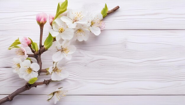 Des fleurs de pommes sur un fond en bois blanc