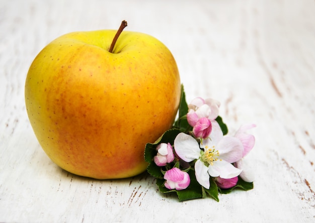 Fleurs de pommier et de pommier