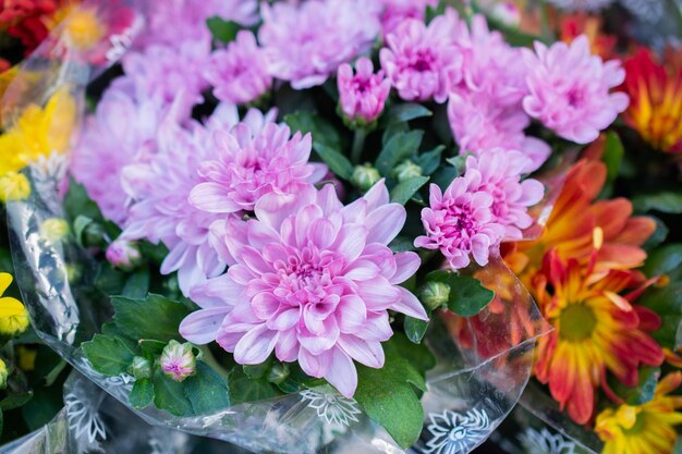 Fleurs en pot en fleurs au printemps dans un magasin de fleurs