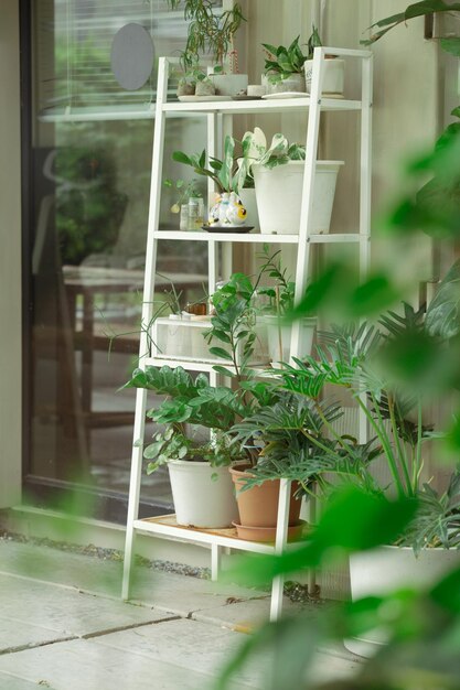 Des fleurs en pot et sur le rebord de la fenêtre ornent la scène.