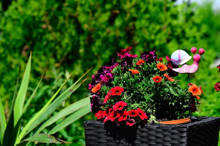 Photo fleurs en pot de rotin