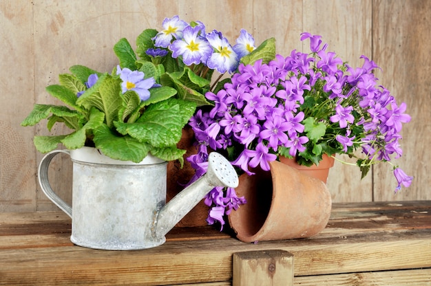 fleurs en pot sur une table en bois