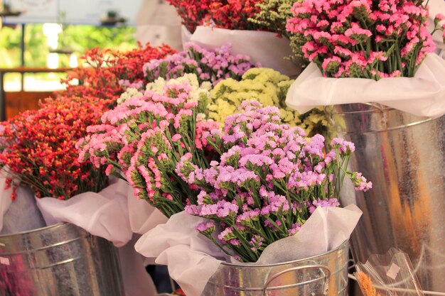 Fleurs en pots chez un fleuriste.