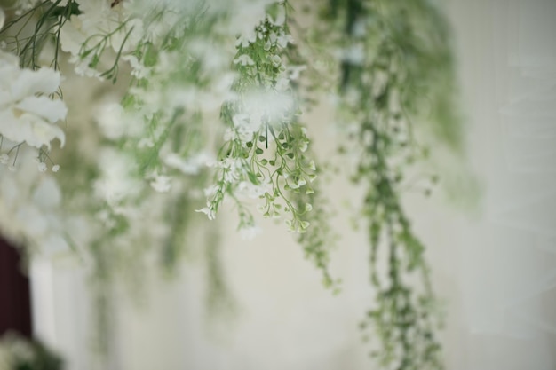 Fleurs pour la décoration de la cérémonie Pour la célébration Fleurs blanches beaux arbustes