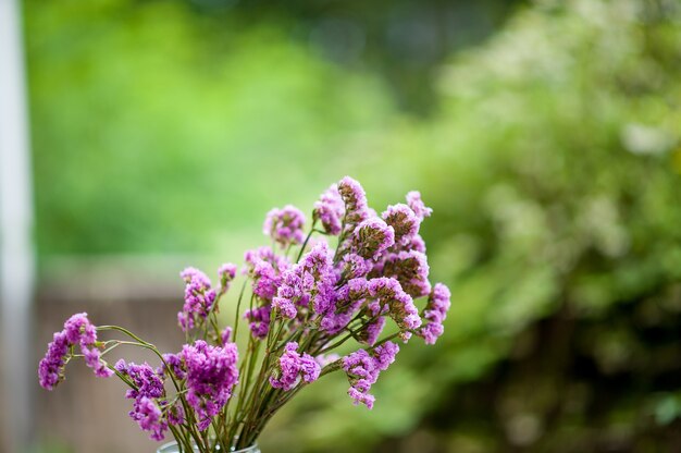 Les fleurs pourpres sont placées sur des planches en bois.