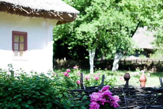 Fleurs Près De La Clôture En Bois Avec Des Vignes Dans Le Village