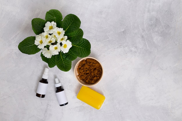 Photo fleurs de primevère; bouteilles d'huile essentielle; savon jaune et café en poudre dans un bol sur fond de béton