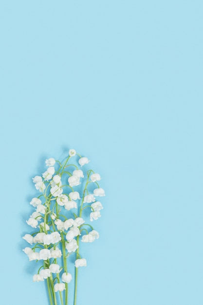 fleurs printanières délicates en fleurs muguet blanc sur fond bleu doux floral printanier