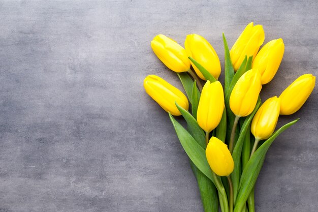 Fleurs printanières jaunes