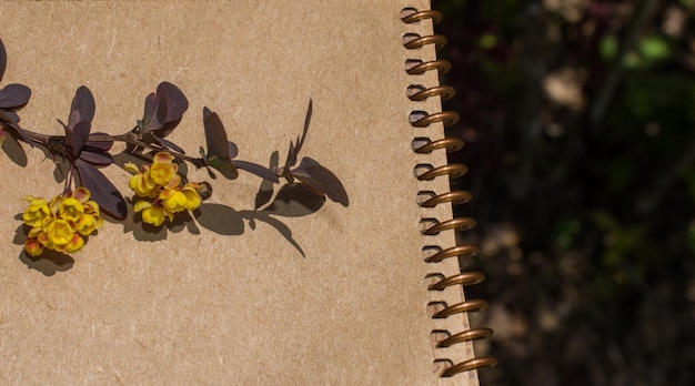 Fleurs printanières sauvages colorées sur une spirale un cahier