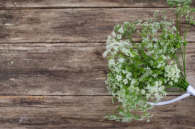 Fleurs de printemps sur bois