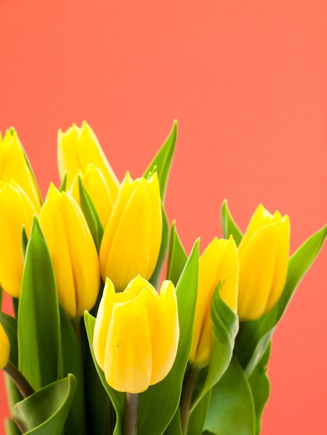 Fleurs de printemps en bouquet avec fond de couleur.