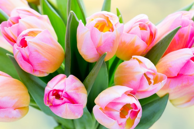 Fleurs de printemps. Bouquet de tulipes sur le fond de bokeh.