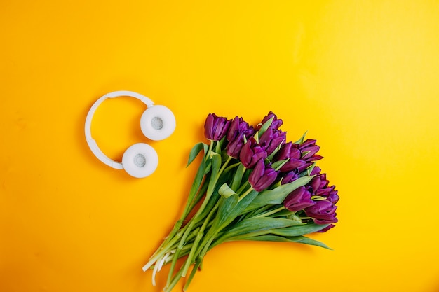 Fleurs de printemps, bouquet de tulipes violettes sur fond orange, casque sans fil blanc sur fond orange.