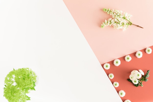 Fleurs de printemps sur un bureau féminin pastel.