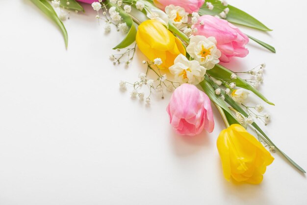 Fleurs de printemps sur fond blanc