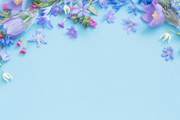 Fleurs de printemps sur fond bleu