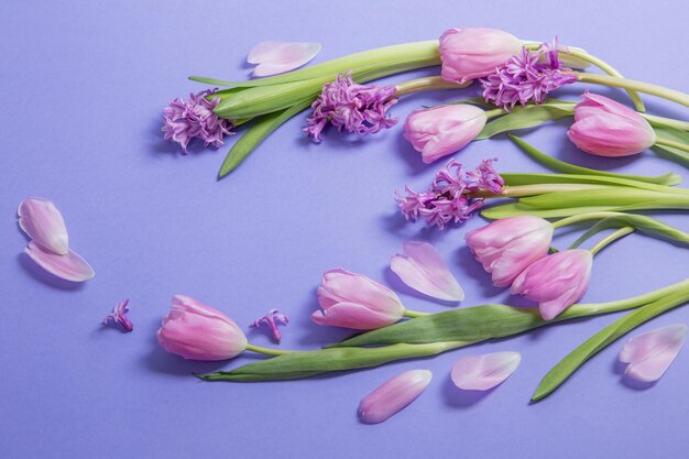 Des fleurs de printemps sur un fond de papier violet.