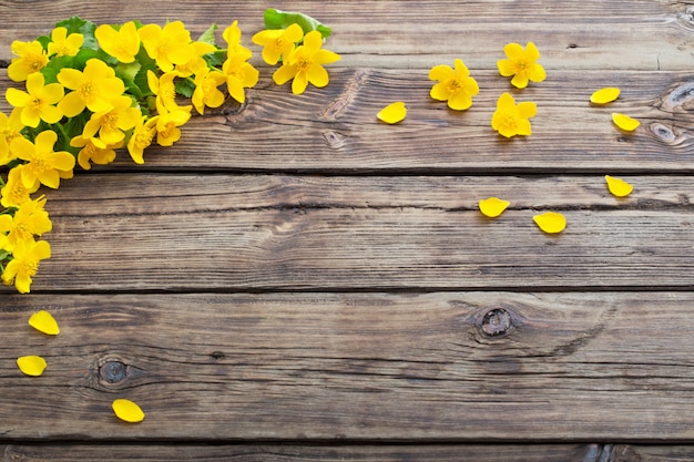 Fleurs de printemps jaune sur bois foncé