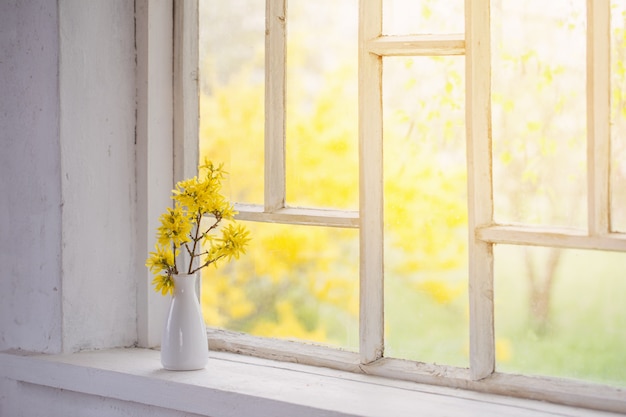 Fleurs de printemps jaune sur le rebord de la fenêtre