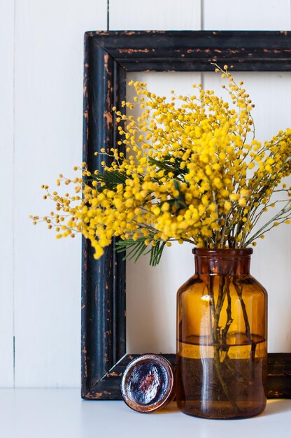 Fleurs de printemps de mimosa