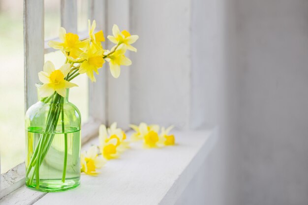 Fleurs de printemps sur le rebord de la fenêtre