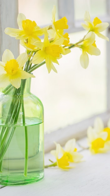 Fleurs de printemps sur le rebord de la fenêtre