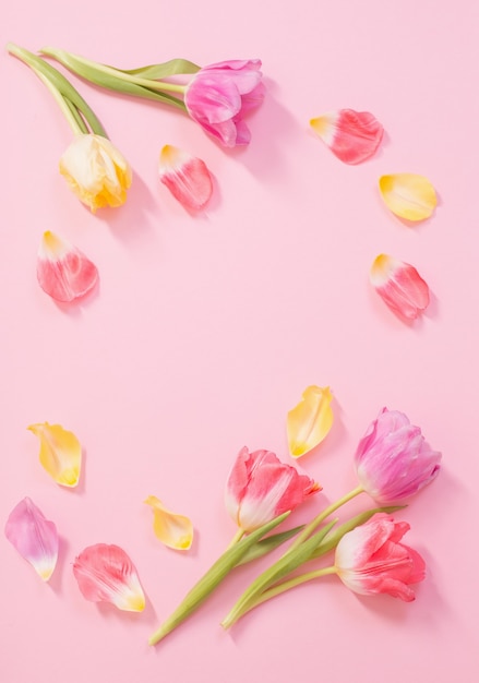 Fleurs de printemps sur surface rose