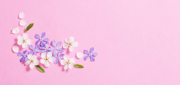 Fleurs de printemps sur table rose